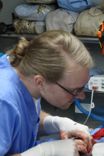 Imagen de Veterinario en apuros: A toda velocidad - 1