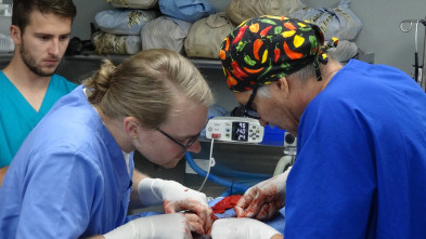 Imagen de Veterinario en apuros: A toda velocidad - 2