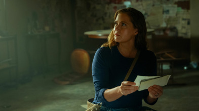 Imagen de Cape Fear (T1): Ep.9 La cicatriz - 2