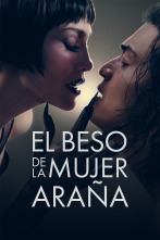 Imagen de El beso de la mujer araña - 1