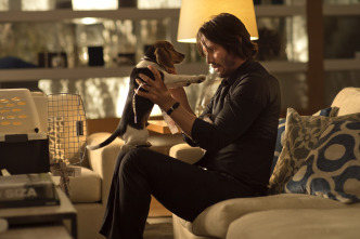 Imagen de John Wick (Otro día para matar) - 11
