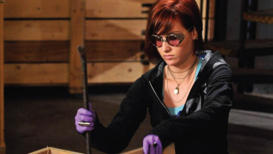 Imagen de Warehouse 13 (T3): Ep.1 El chico nuevo - 2