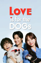 Imagen de Amores perros (T1) - 1