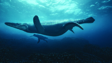 Imagen de Surviving Earth: Cuando los mares murieron - 2