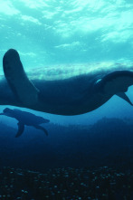 Imagen de Surviving Earth: Cuando los mares murieron - 1