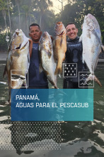 Imagen de Panamá, aguas para el pescasub - 1