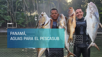 Imagen de Panamá, aguas para el pescasub - 2