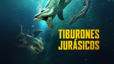 Imagen de Tiburones jurásicos - 2