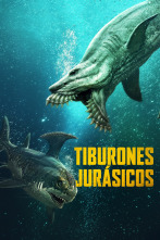 Imagen de Tiburones jurásicos - 1