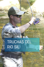 Imagen de Truchas en el río Sil - 1