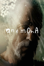 Imagen de Anémona - 1