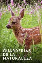 Imagen de Guarderías de la naturaleza  - 1