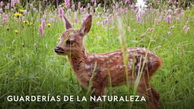Imagen de Guarderías de la naturaleza  - 2
