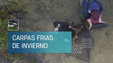 Imagen de Carpas frías de invierno - 2
