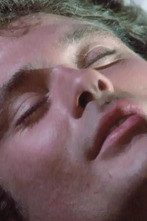 Imagen de Knight Rider (T3): Ep.8 Caballero en apuros - 1