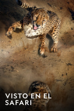 Imagen de Visto en el safari  - 1