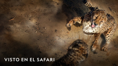 Imagen de Visto en el safari  - 2