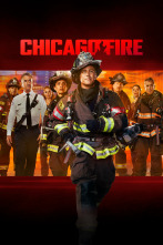 Imagen de Chicago Fire (T14) - 1