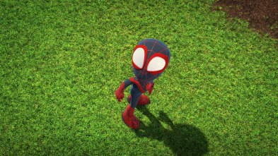 Imagen de Marvel Spidey y su superequipo (Singles) (T5) - 3