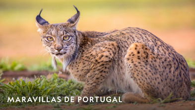 Imagen de Maravillas De Portugal  - 7