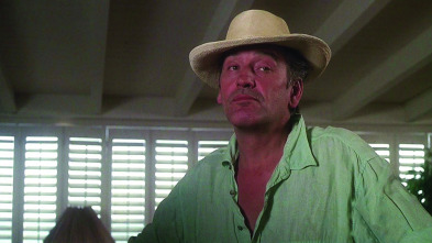 Imagen de Columbo (1988) (T3): Ep.14 A Colombo le gusta la noche - 2