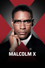 Imagen de Malcolm X - 1