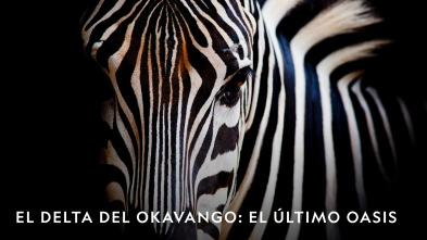 Imagen de El delta del Okavango: el último oasis  - 2