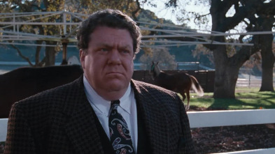 Imagen de Columbo (1988) (T3): Ep.10 Extraños compañeros de cama - 2