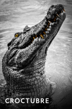 Imagen de Croctubre  - 1
