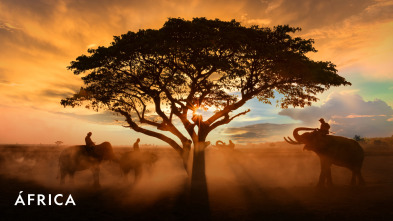 Imagen de ÁFrica  - 2