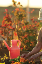 Imagen de Desplazados (T1): Ep.5 Panis Angelicus - 1