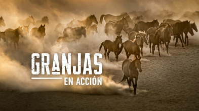 Imagen de Granjas En Acción, Season 2 (T2) - 2