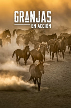 Imagen de Granjas En Acción, Season 2 (T2) - 1