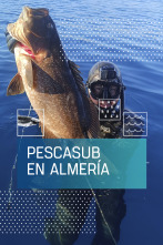 Imagen de Pescasub en Almería - 1