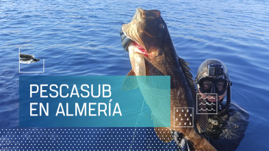 Imagen de Pescasub en Almería - 2