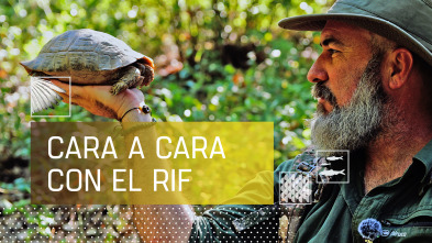 Imagen de Cara a cara con el Rif - 2