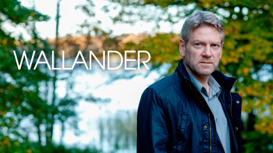 Imagen de Wallander (T3) - 2