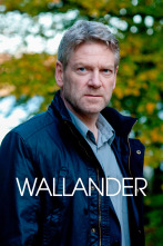 Imagen de Wallander (T3) - 1