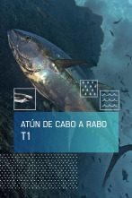 Imagen de El atún de cabo a rabo (T1) - 1