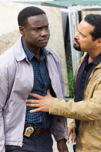 Imagen de Shades of Blue (T1): Ep.6 La caída de un hombre - 1
