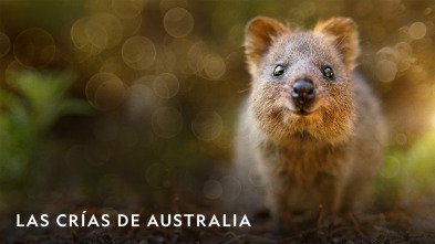 Imagen de Las crías de Australia  - 2