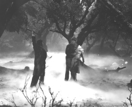 Imagen de El hombre lobo - 6