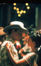 Imagen de Todos los caballos bellos - 15