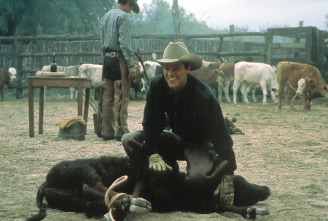 Imagen de Todos los caballos bellos - 7