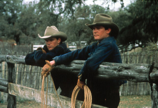 Imagen de Todos los caballos bellos - 5