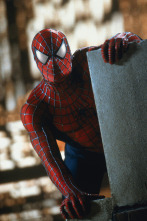 Imagen de Spider-Man - 14