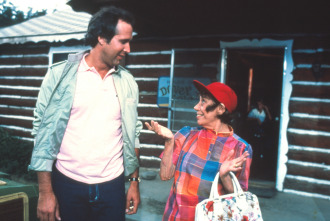 Imagen de Locas vacaciones de una familia americana - 7