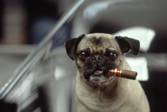 Imagen de Men in Black II (Hombres de negro II) - 8