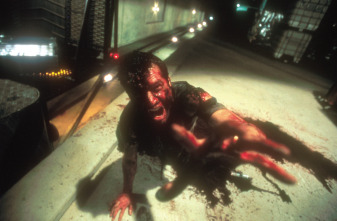 Imagen de Resident Evil - 12