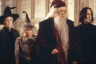 Imagen de Harry Potter y la cámara secreta - 13